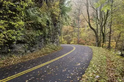 Roaring Fork Motor Nature Trail