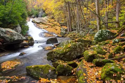 Great Smoky Mountains National Park in October