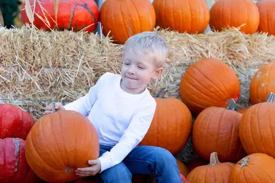 kid holding a pumkin at a fall festival in the Smoky Mountains