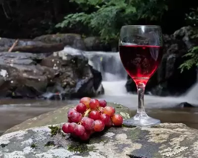 Smoky Mountain wine