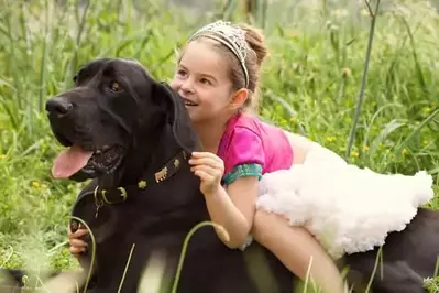 little girl and dog ready for a pet friendly Smoky Mountain vacation