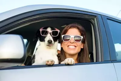 A woman and her dog wearing sunglasses in a car.
