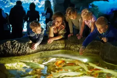 family looking at fish at Galtinburg aquarium.