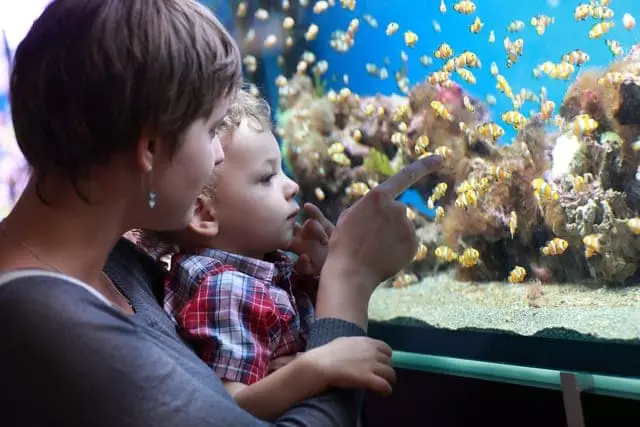 family at Gatlinburg aquarium