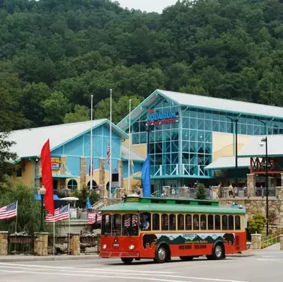 Ripley's gatlinburg aquarium.