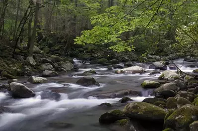 river with rocks and trees