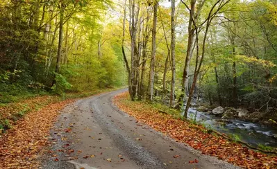 Road in the Smoky Mountains in autumn