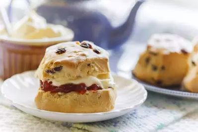 Scones with jam and cream