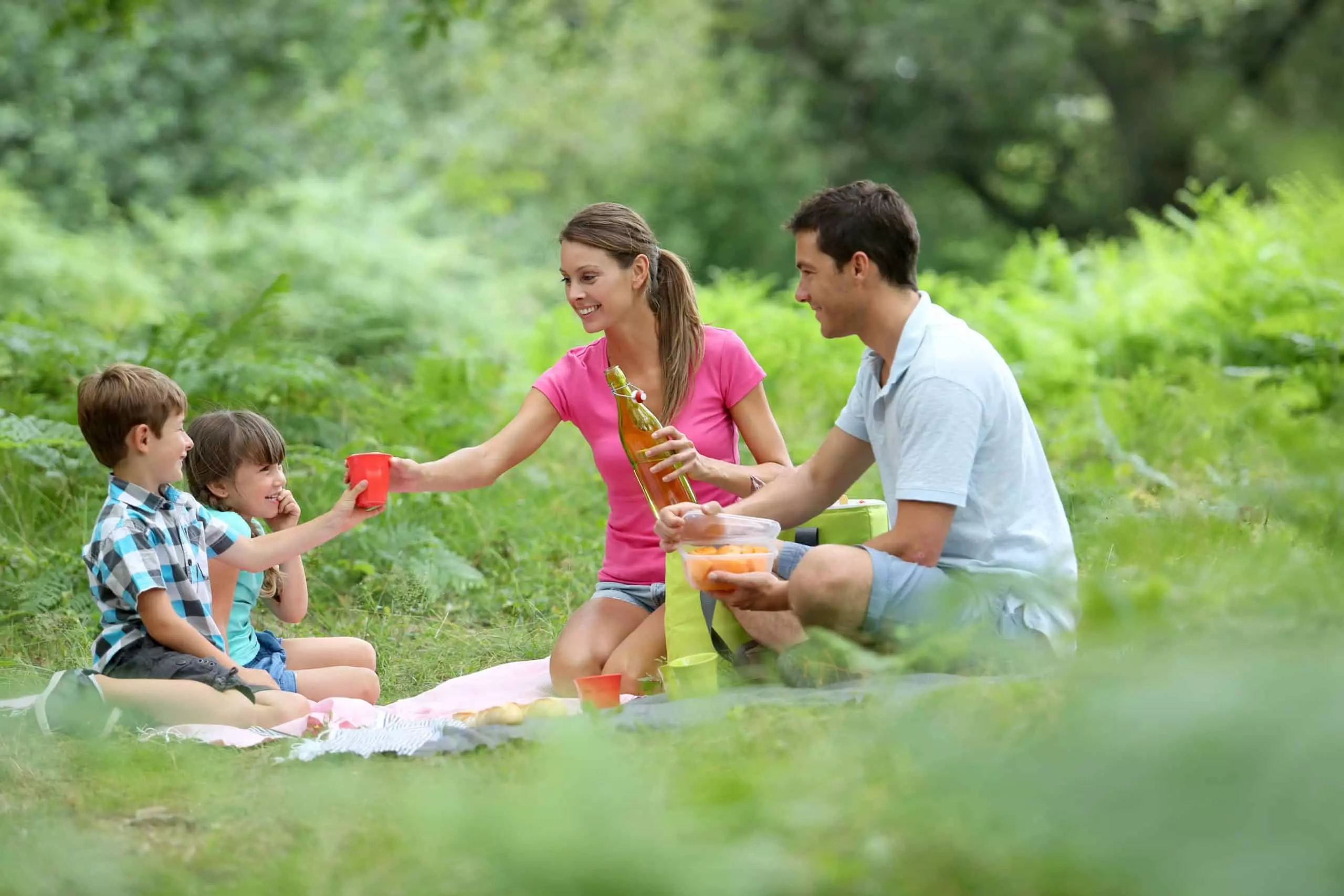 Family picnicking on the countryside