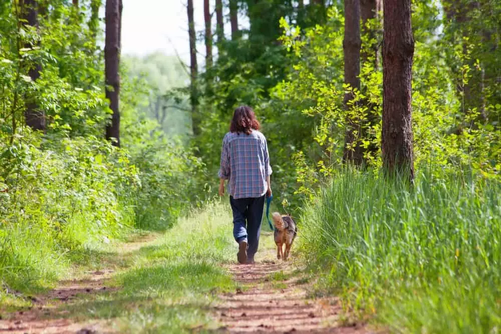 Woman walking with her dog in the woods