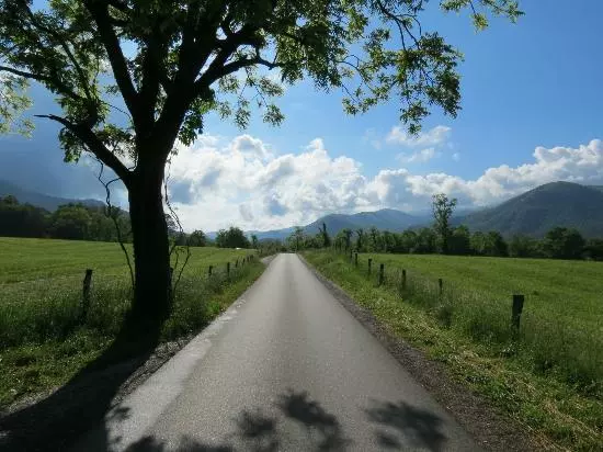 Cades Cove Loop Road is a great place to enjoy a Smoky Mountain driving tour!
