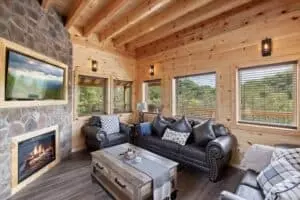 stargazer chalet living room