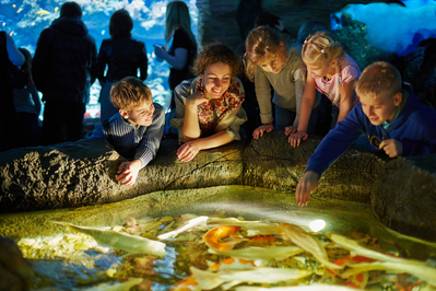 A group of people at the aquarium near our luxury cabin rentals in Pigeon Forge TN.