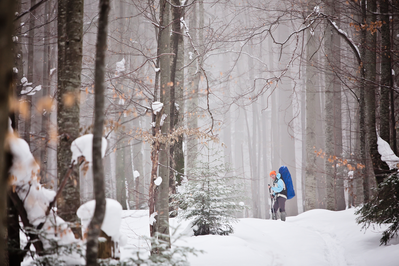Someone taking a hike in the forest during the winter.
