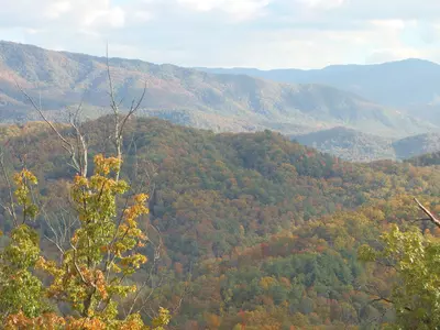 View of the fall coors from Grand View Getaway in the Smoky Mountains