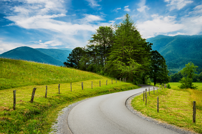 Relaxing mountain road close to our cabin rentals near Gatlinburg TN.