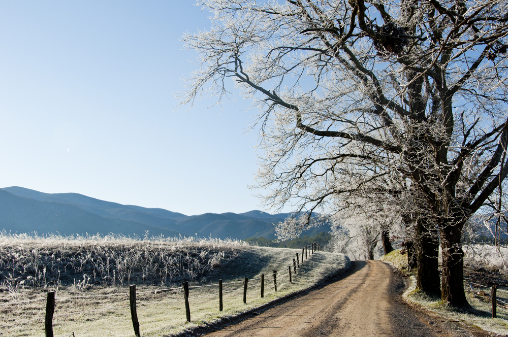 A frost covered road in Cades Cove during the winter.