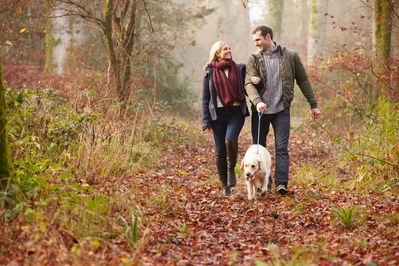 Happy couple walking with dog in the woods during the fall.