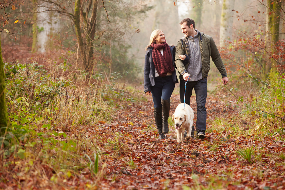Happy couple walking with dog in the woods during the fall.
