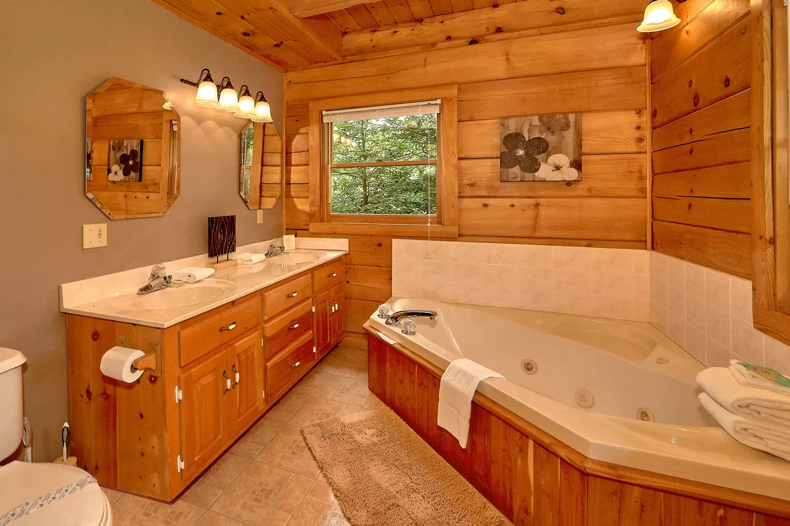 NATURES HIDEAWAY 2 bedroom Cabin in Sevierville