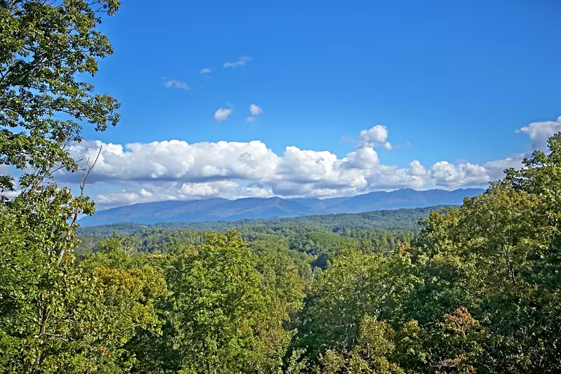 THE BIG MOOSE LODGE 16 bedroom Cabin in Sevierville