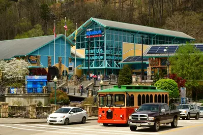 Ripley's Aquarium of the Smokies