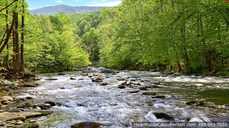 CADES COVE VISTA LODGE