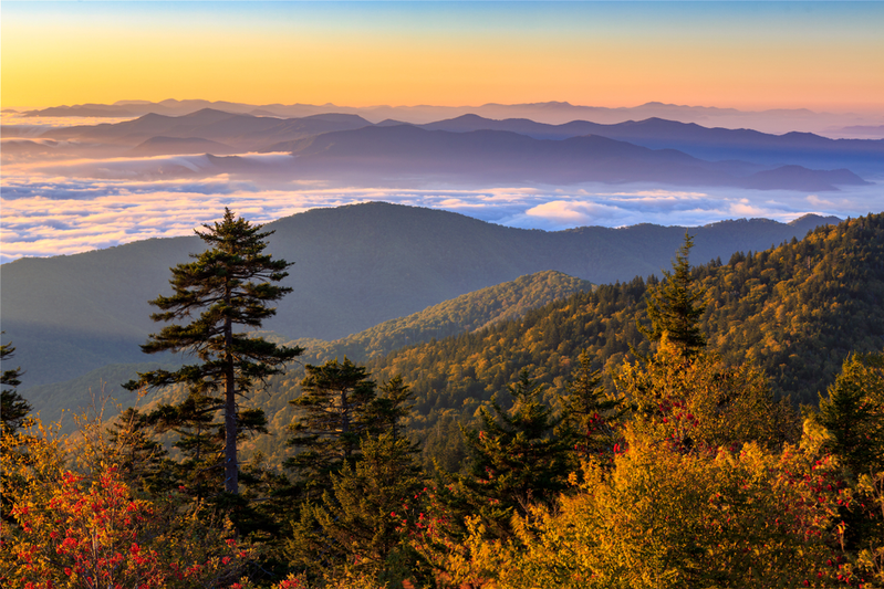 sunrise at Clingmans Dome in fall