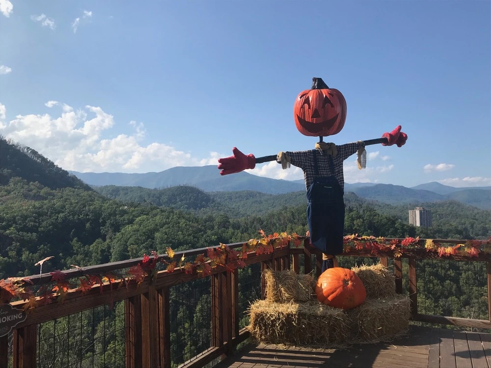 mountain view with fall decorations at Anakeesta