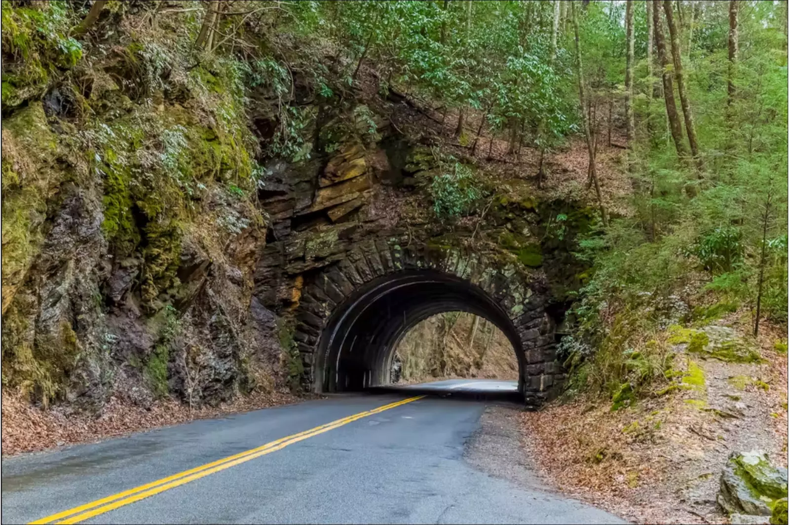 CHEROKEE HOLLOW AT GOOSE GAP RESERVE