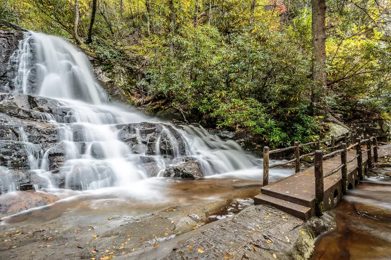 CHEROKEE HOLLOW AT GOOSE GAP RESERVE