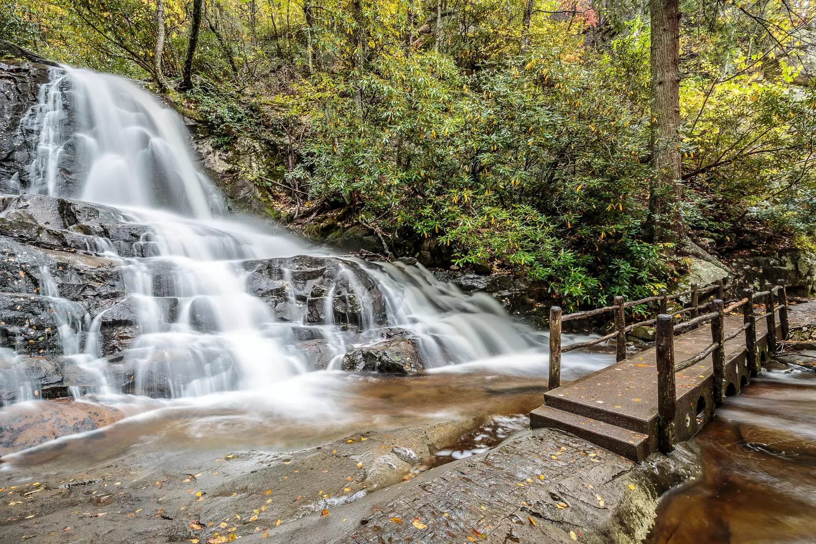 CHEROKEE HOLLOW AT GOOSE GAP RESERVE