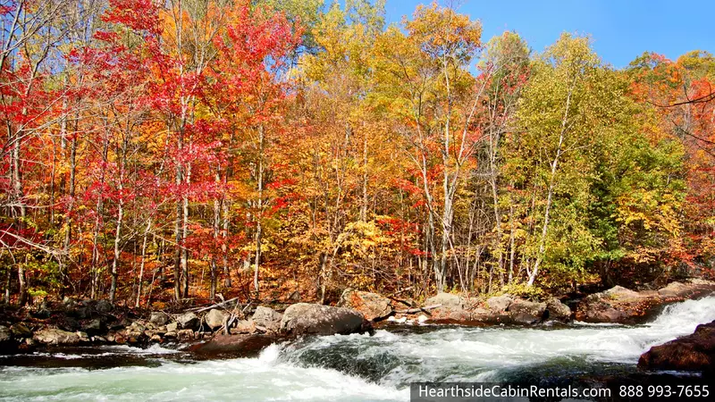 CHEROKEE HOLLOW AT GOOSE GAP RESERVE