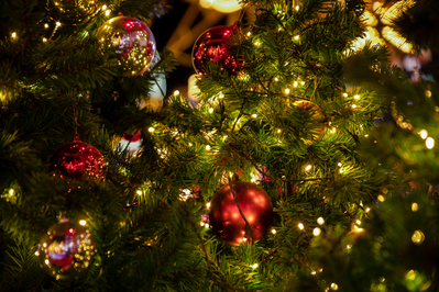 decorated Christmas trees up close