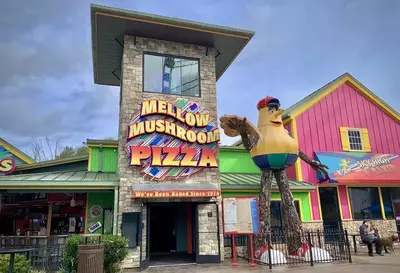 Mellow Mushroom in Pigeon Forge