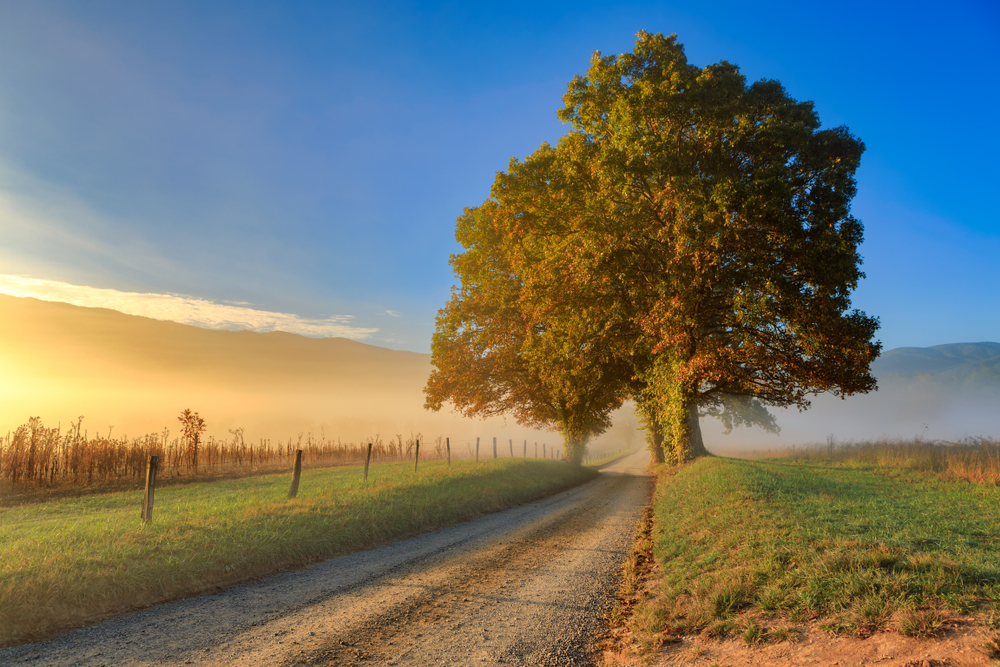 foggy morning in Cades Cove at sunrise
