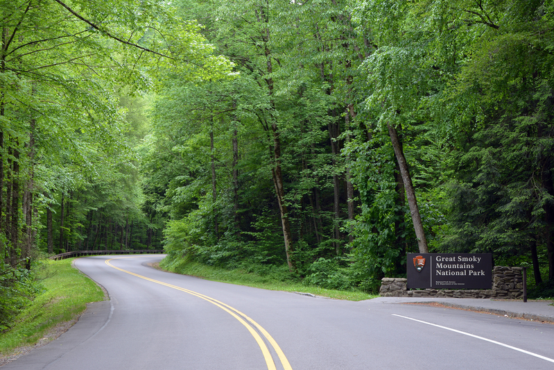discover great smoky mountains fun facts
