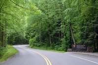 discover great smoky mountains fun facts