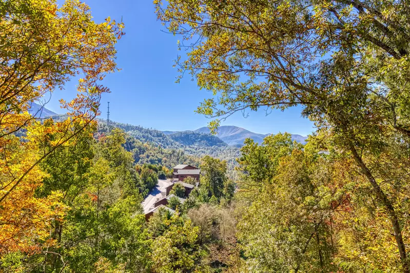 WANDERIN' BEAR LODGE