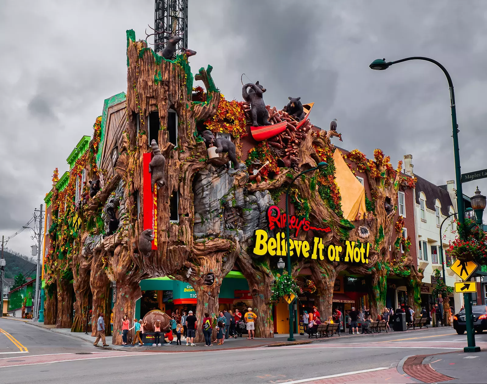 WANDERIN' BEAR LODGE