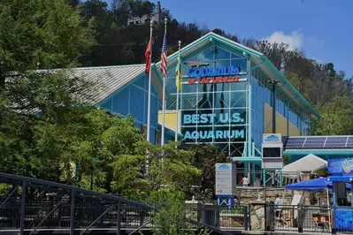 ripley's aquarium is near bears cove at the glades