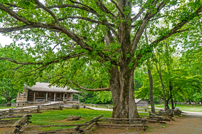cades cove visitor center in great smoky mountains national park