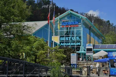 Ripley's Aquarium is one of the best Gatlinburg attractions