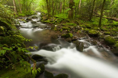 water near twin creeks trail
