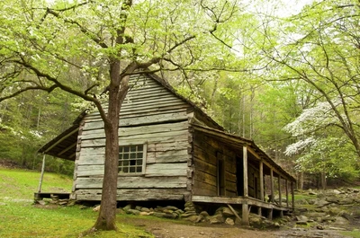 ogle cabin mill on leconte creek near house of the fairies