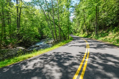 upper tremont road is one of the less crowded Smoky Mountain scenic drives