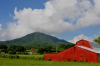wears valley road is one of the less crowded Smoky Mountain scenic drives