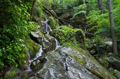Place of a Thousand Drips is one of the best waterfalls in the Smoky Mountains