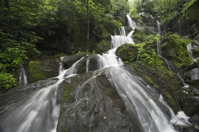 Place of a Thousand Drips is one of the best waterfalls in the Smoky Mountains