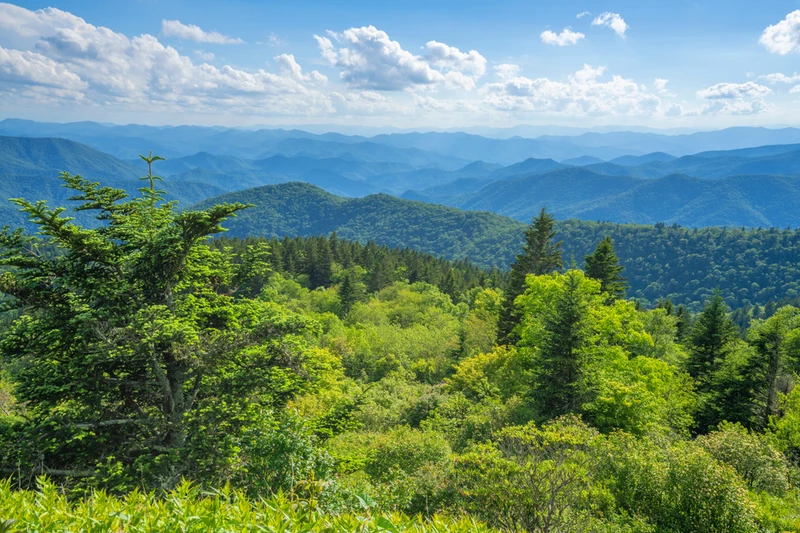 view during summer in the smokies